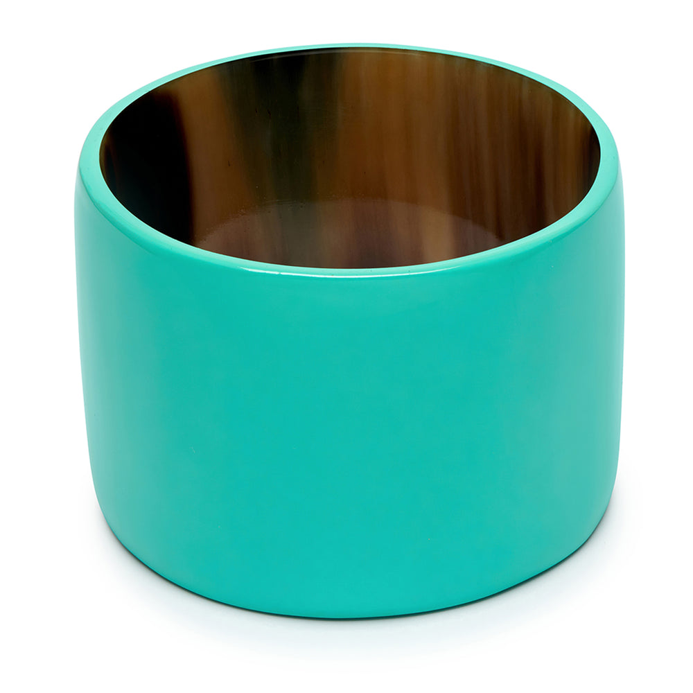 Branch Jewellery - Aquamarine Lacquered Wide horn Bangle